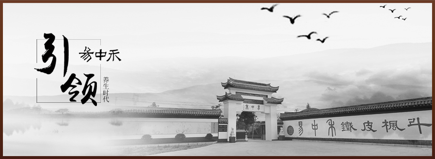 公司简介