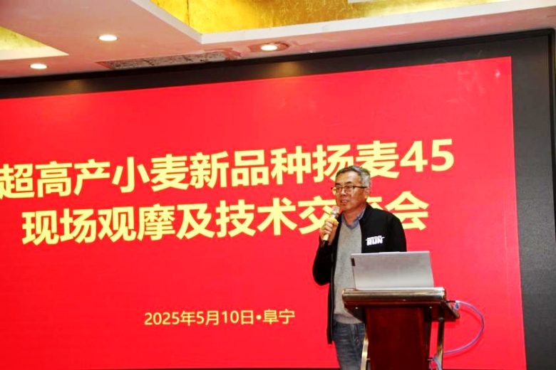 超高产小麦新品种扬麦45现场观摩及技术交流会在阜宁成功举办